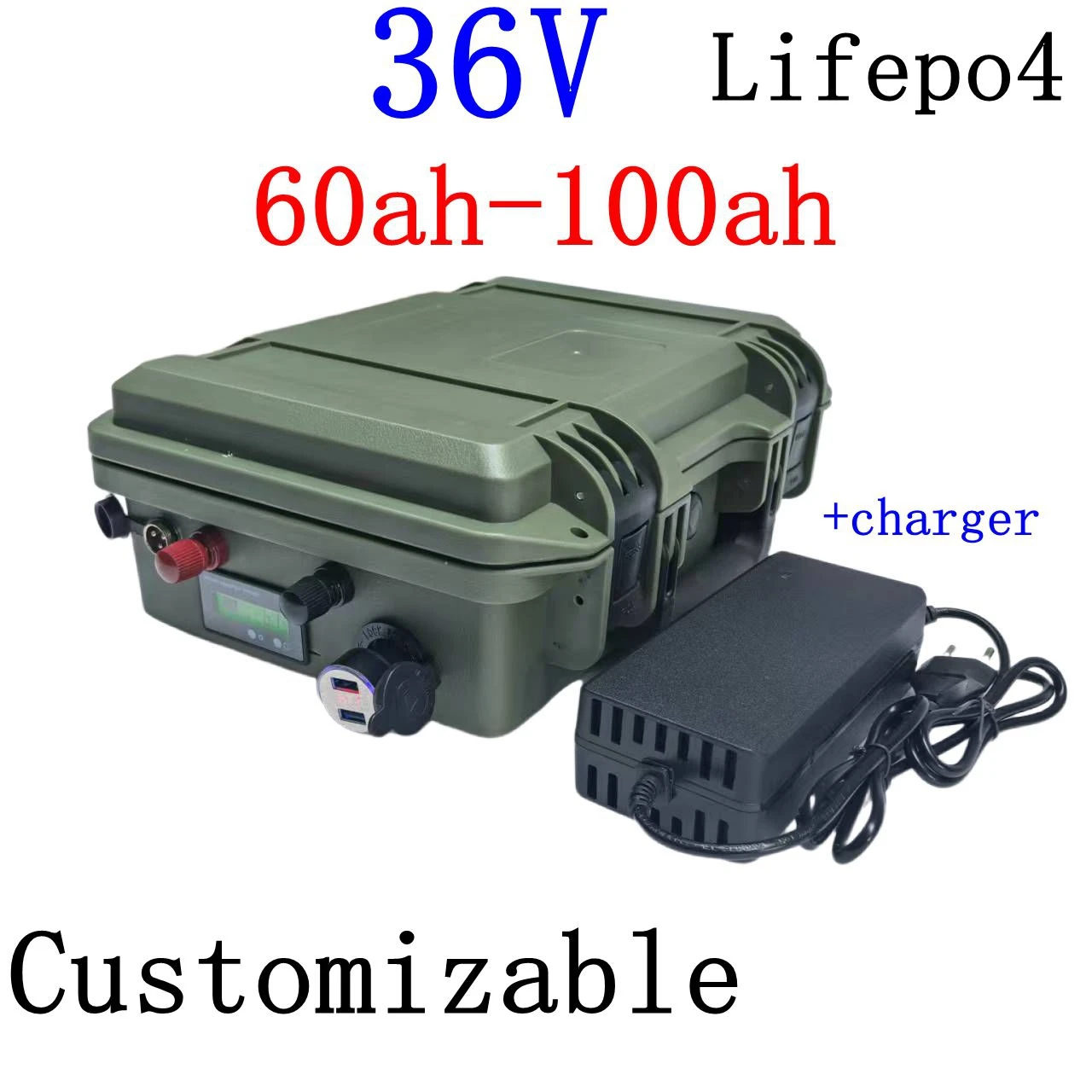 Batterie LiFePo4 36V, 100/70/60/80Ah, avec BMS, pour moteur de bateau, UPS, système solaire, réverbère, EV, avec chargeur 43.8V