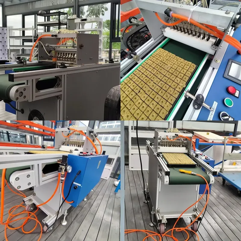 YWM Certificate Factory Tray Seedling Vegetable Nursery Automatic Hole Tray Seeder Seeding Machine for Farm Cultivation 2025