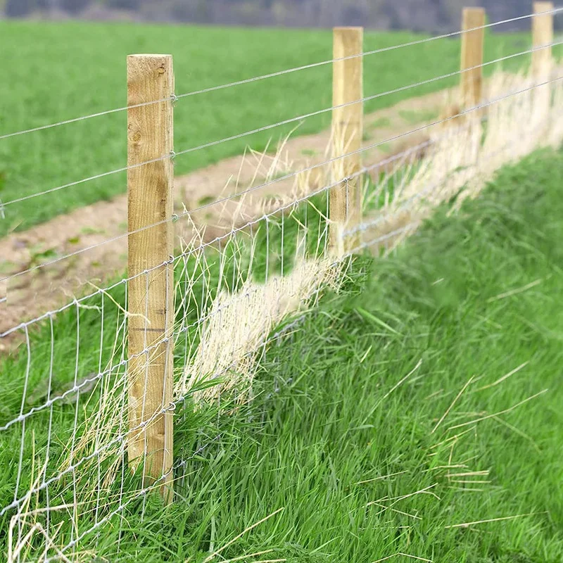 1/16Inch X 500Feet Wire Rope Cable, Stainless Steel Cable Aircraft Cable For Trellis