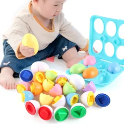 Huevos inteligentes Montessori para bebés, juguetes educativos para niños de 2 a 4 años, 6 piezas