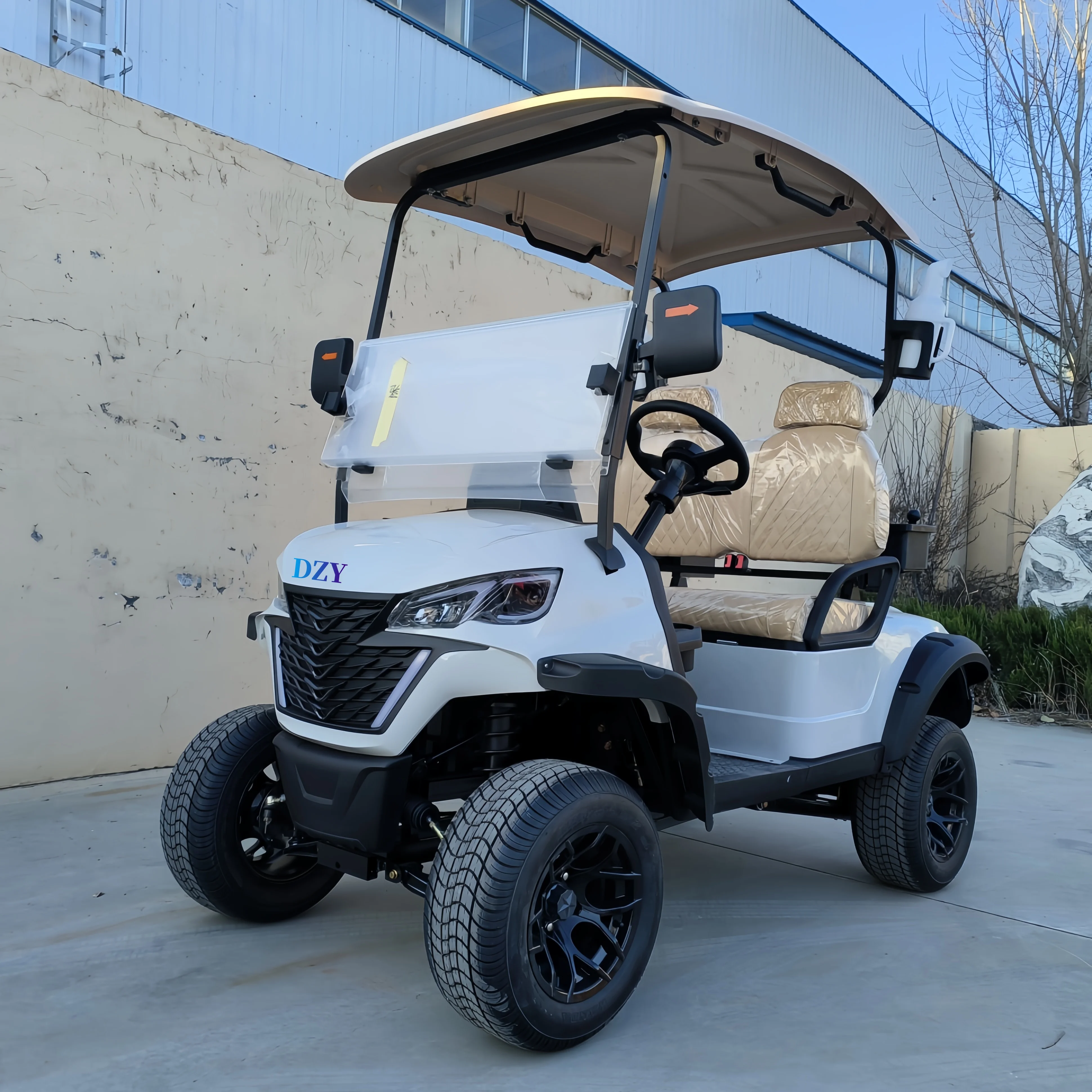 Chinese Golf Cart with Professional Meter Golf Cart 4 Wheel Drive Electric Golf Cart