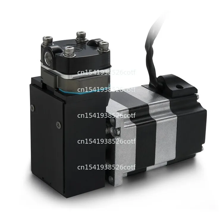 12DB12V24V High Pressure Piston Electric Particle Counting Gas Detection Mini Vacuum Pump