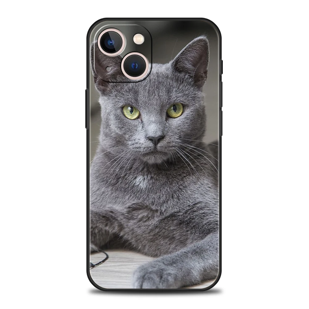 British shorthair cat Luxury Phone Case For iPhone 11 12 13 14 15 16 Pro Max Mini X XR XS 7 8 Plus SE Silicone Cover Black Funda