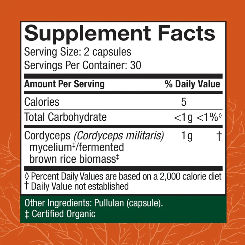 Cordyceps Cápsulas Suplementos de Apoio imunológico e energético Saúde renal Antioxidante 60 Cápsulas Vegetarianas