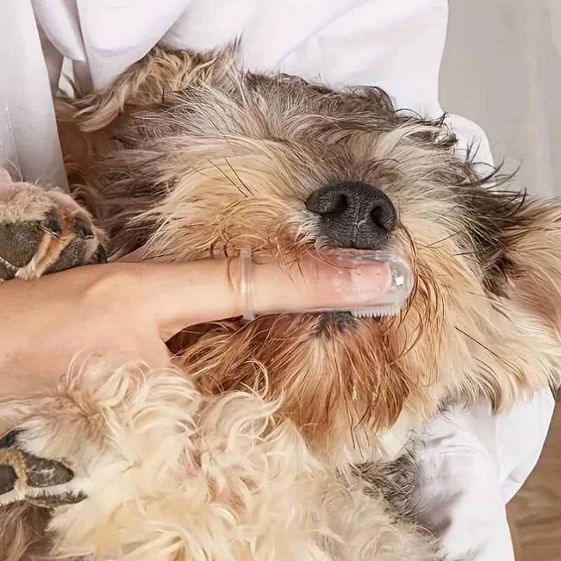 5-Pack Silicone Finger Toothbrushes for Pets - Soft Brush Effectively Removes Plaque & Tartar from Dogs, Cats, and Amphibians