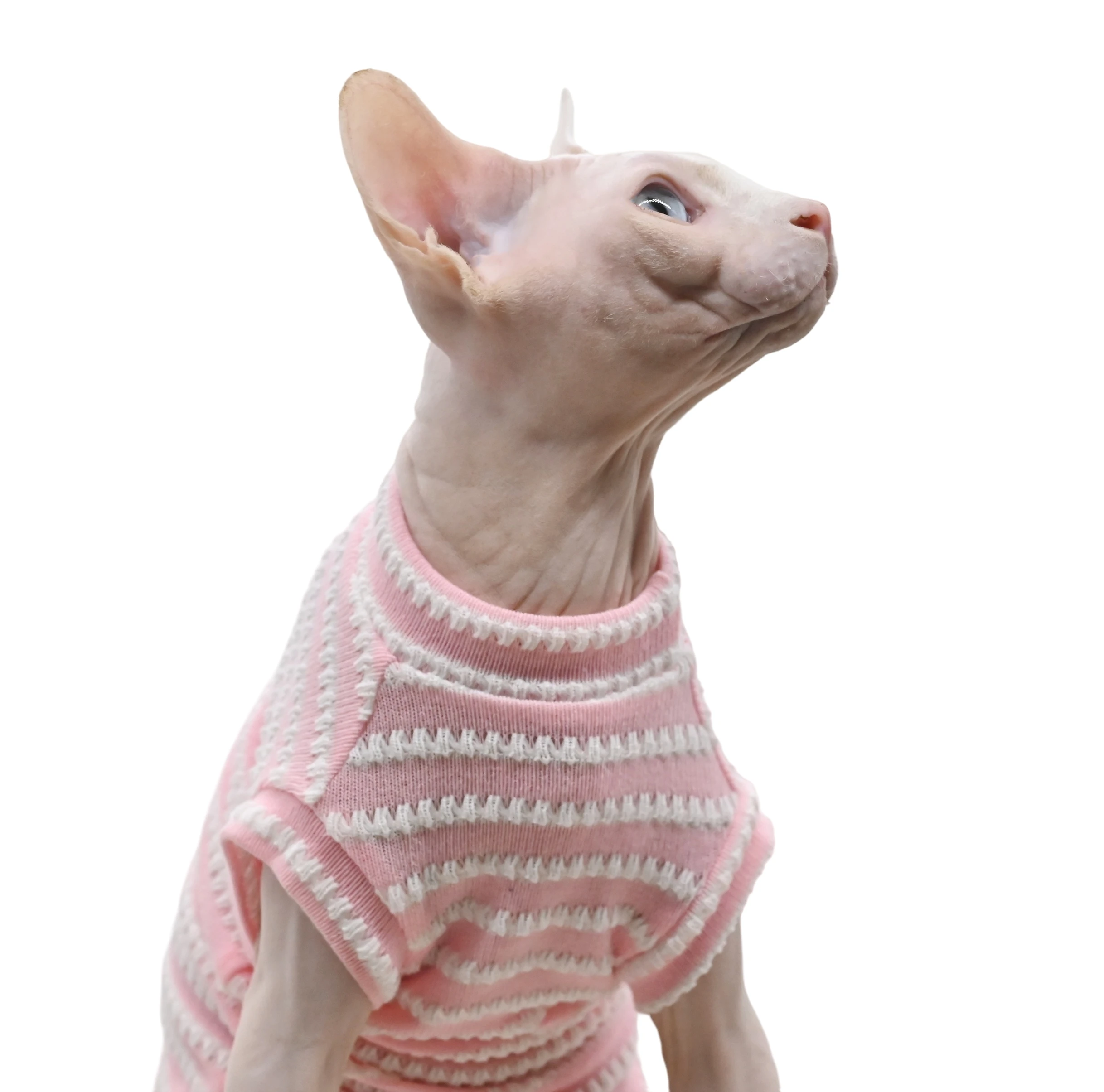 Sphynx Cat Clothes Hairless Cat Clothes Cat Summer Pure Cotton Skin-friendly Close-fitting Cat Clothing for Small Cats and Dogs