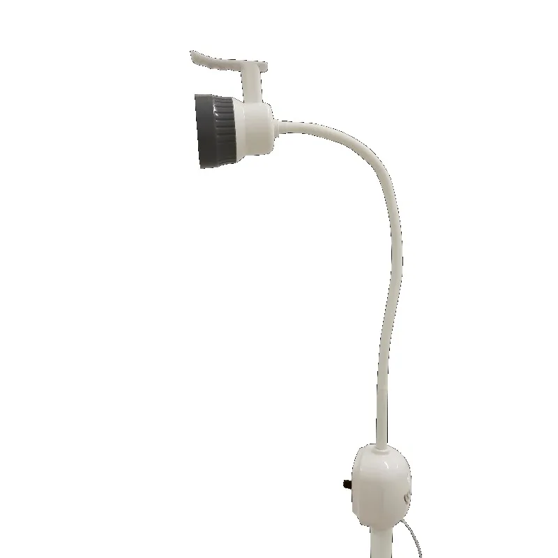 Surgical Auxiliary Cold Light Vertical Floor-Standing Mobile Lighting LED Shadowless Hospital Clinic Examination Operating Lamp