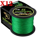 X12 Green