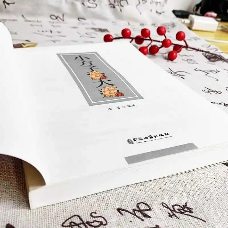 صيغ صغيرة لعلاج المرضى الخطيرة، سهلة الفهم، الطب الصيني التقليدي للصحة والعافية