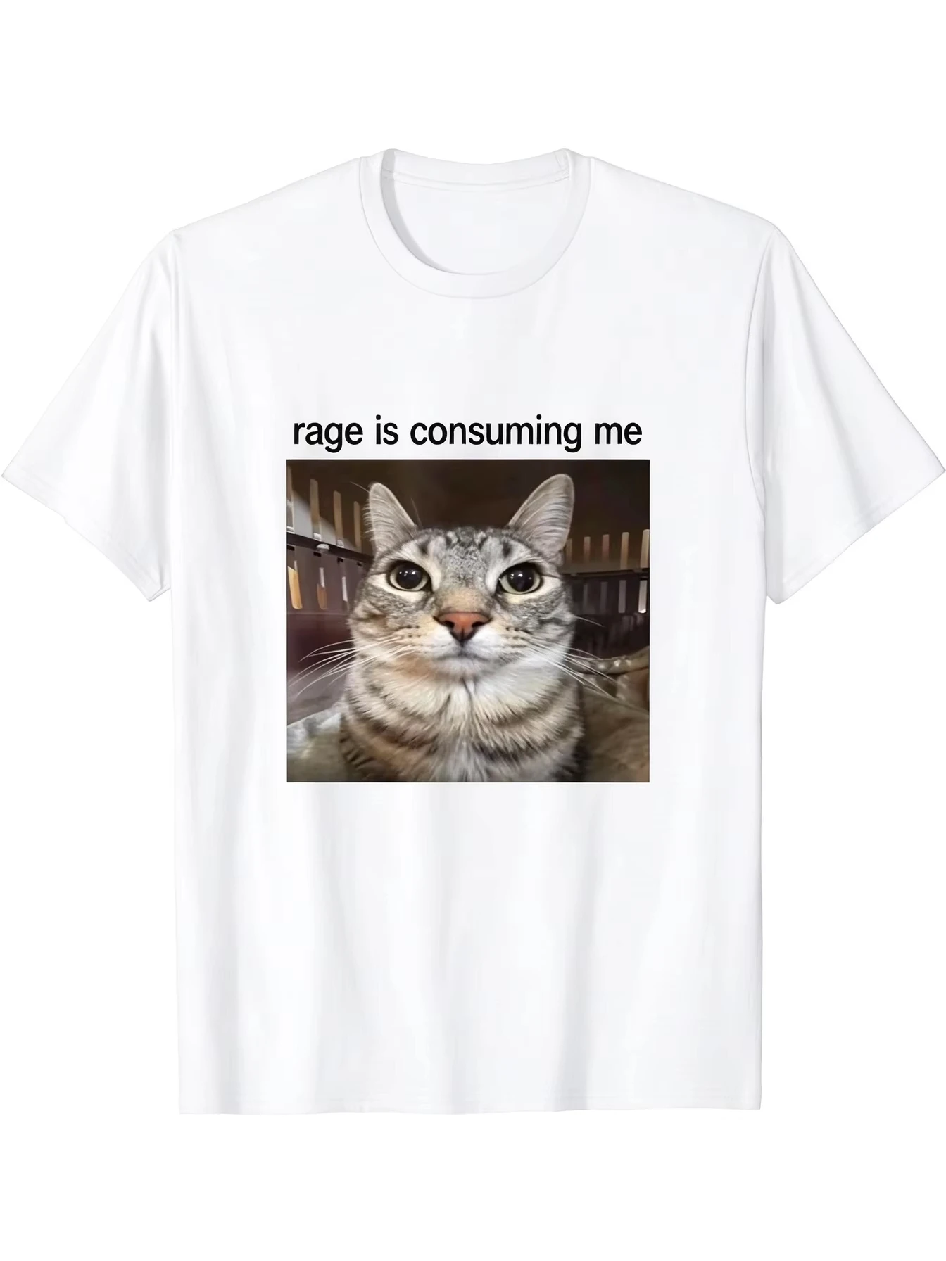 2026 New Meme Oversized Unisex Streetwear Funny Cat Meme Graphic T Shirt Rage Is Consuming Me Text Front Print Tee