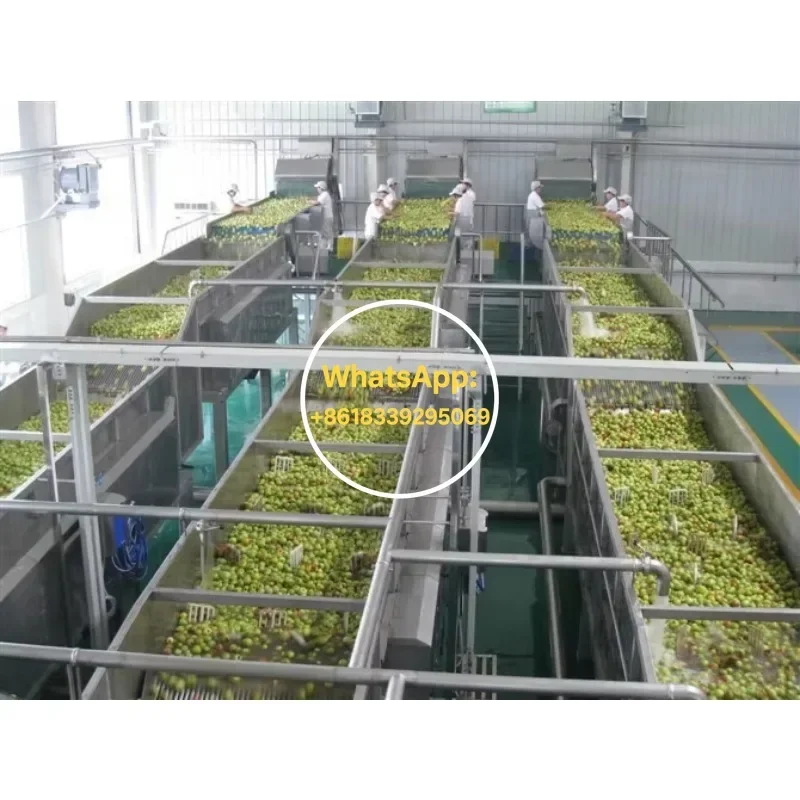 Mango Pulp Processing Machinery New Condition Jam Making Puree Production Line Engine Pump Fruit Food Processing