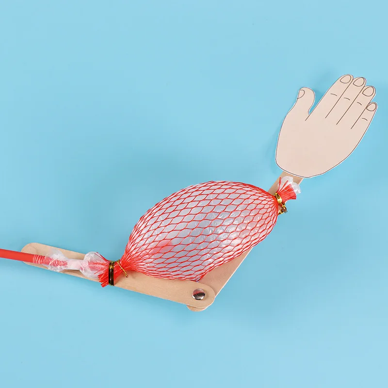 Tecnologia Piccola produzione Invenzione Attrezzatura modello osseo e muscolare fai-da-te Pacchetto materiale creativo fatto a mano per la scuola materna