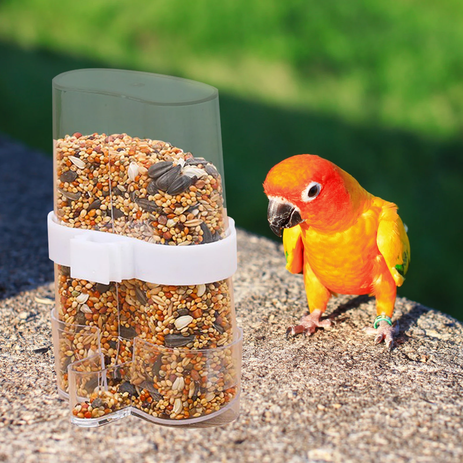 

2pcs Parrot Food Feeder Clear Bird Cage Feeding Container Practical Sturdy Bowl For Cockatiel Pigeon Indoor Use Portable Bird