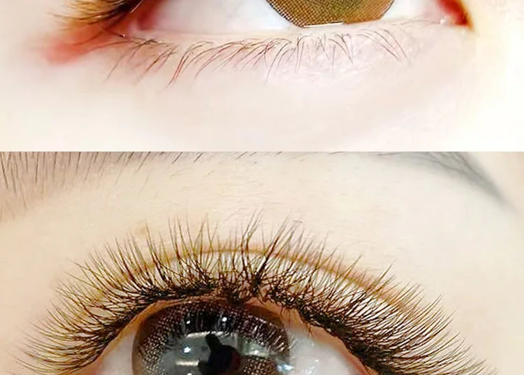 MARIA Brown 4D W-Form Einzelwimpern Bunte Wimpernverlängerung Natürlich Weich Echtes Schwarzes Nerzhaar Vorgefertigte Volumenfächer – Detail 5