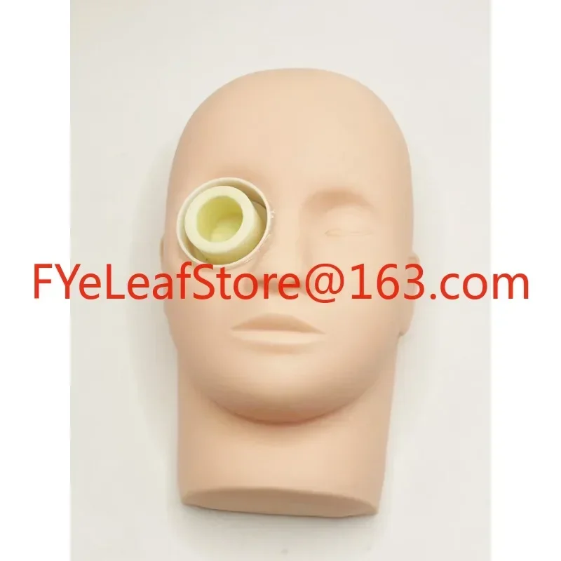 Ophthalmic Surgery Practice Model Animal Eye Pig Eye Practice Ophthalmic Head Model.