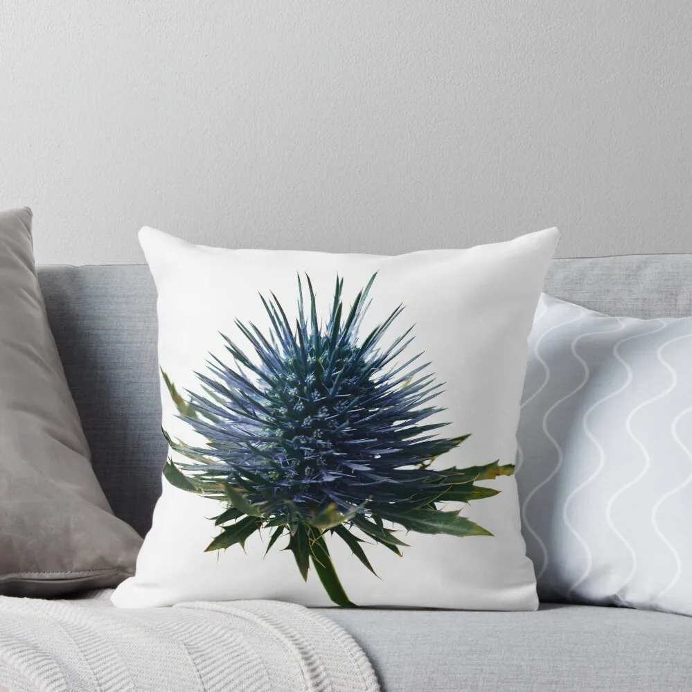 Studio lit blue thistle flower against pure white. Throw Pillow christmas cushions covers New year Pillow