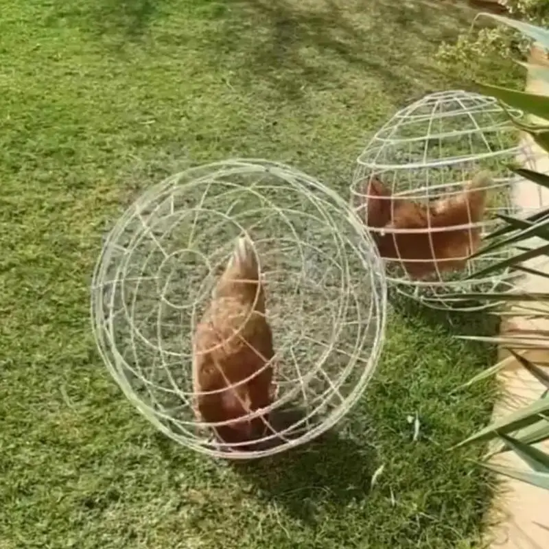 NUOVA gabbia per polli da passeggio in rete gabbia per polli sferica in plastica gabbia per conigli rotonda può arrotolare e camminare per mangiare gabbia per polli a gamma libera