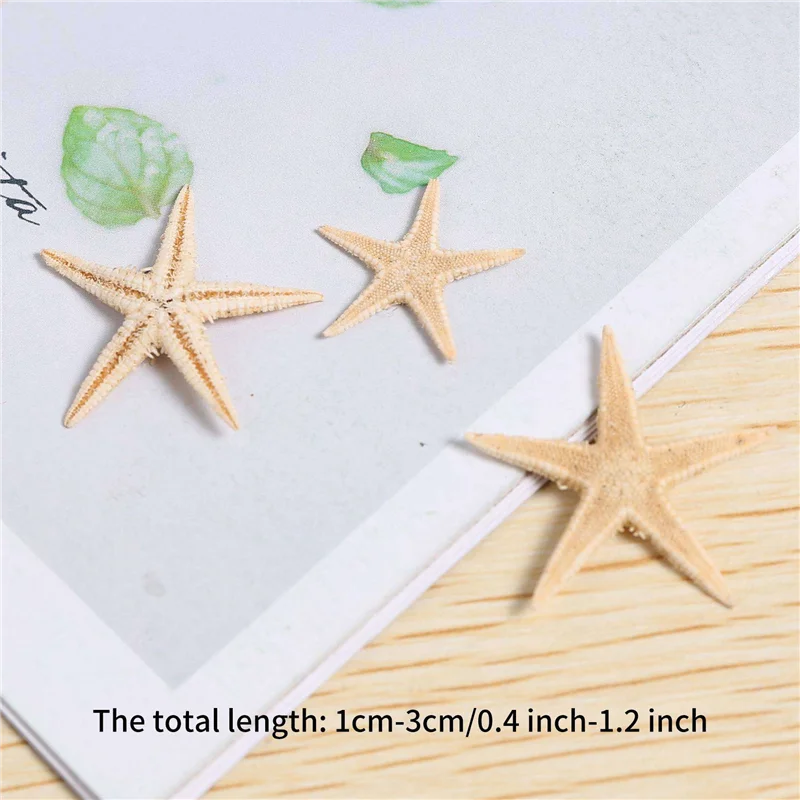 

【Горячие продажи!】Маленькая морская звезда, морская ракушка, пляжное ремесло, 0,4-1,2 дюйма, 360 шт.