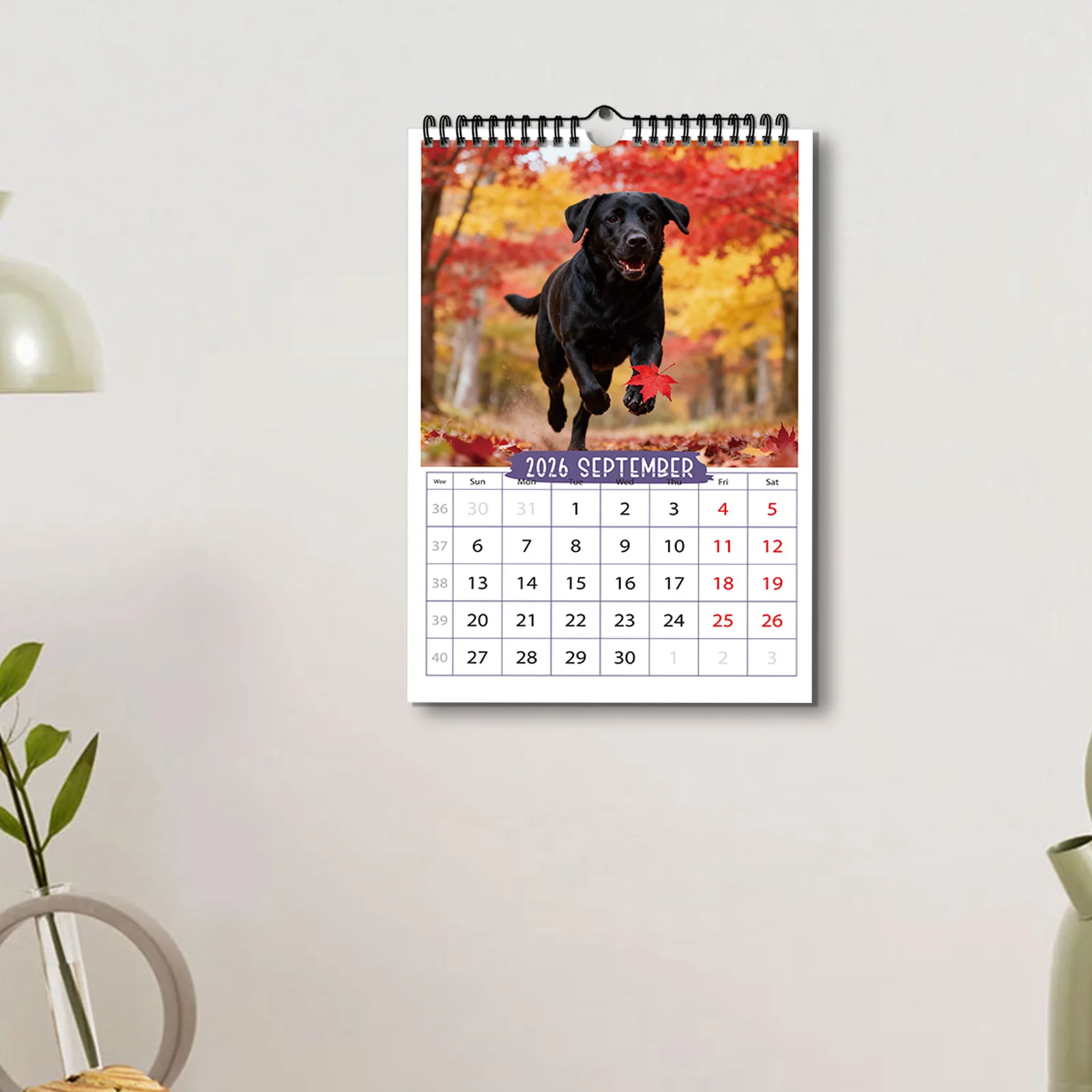 ปฏิทินสุนัขสีดำและมีพลังที่น่ารัก 1 ชิ้น เหมาะสำหรับการตกแต่งห้องนั่งเล่น เหมาะสำหรับคนรักสัตว์เลี้ยงที่มีความเสถียรทางอารมณ์