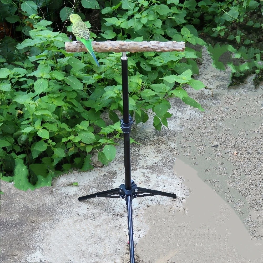 

Adjustable Parrot Training Stand Portable Tripod Bird Perch with Natural Wood Stick Foldable Outdoor Play Stand for Birds