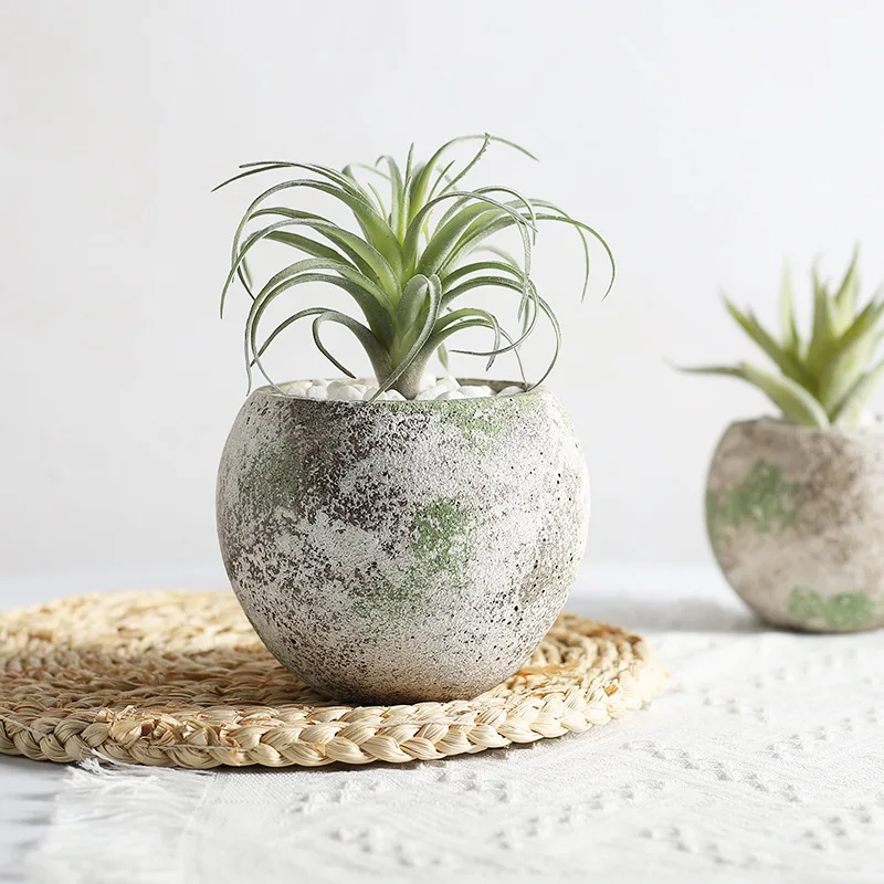 Cement Flowerpot Moss Color Old Retro Gardening Ornament Gardening Decoration Succulent Green Plant Planting Pot Home Decoration