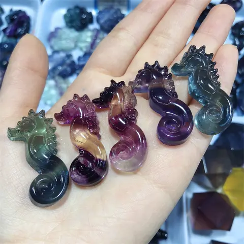 천연 무지개 형석 바다 말 미니 동물 크리스탈 조각 레이키 힐링 젬톤 홈 데코 선물, 5 개 Best5 천연 무지개 형석 바다 말 미니 동물 크리스탈 조각 레이키 힐링 젬톤 홈 데코 선물, 5 개 Best5