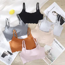 Soutien-gorge Push Up sans couture pour femmes, bustier tubulaire de sport, sous-vêtements de fitness, soutien-gorge sans anneau en acier, lingerie respirante féminine