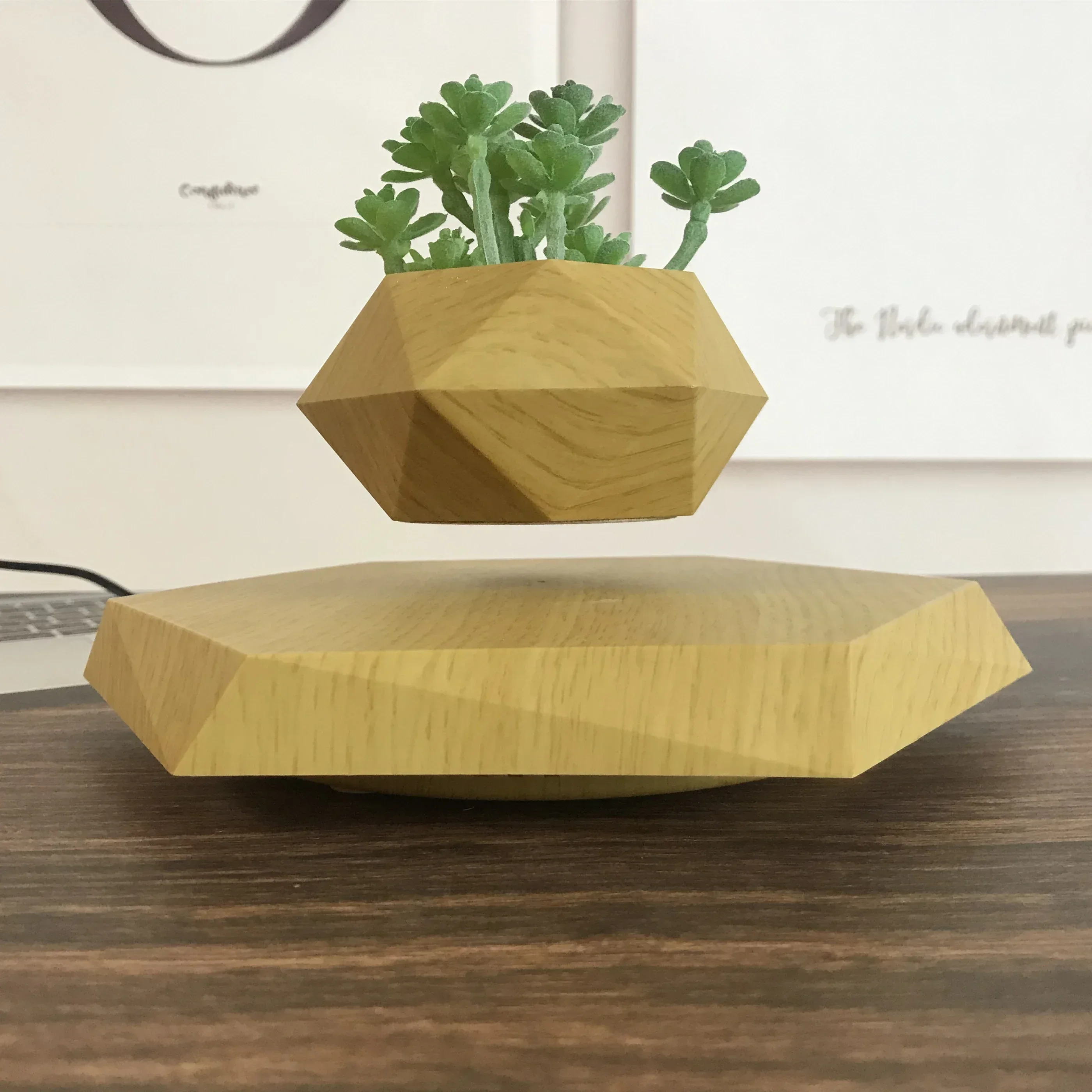 Air Bonsai Floating Flower Pot Levitating Plant Pot  Levitation for Artificial Plants Simple Style Home Decor Garden