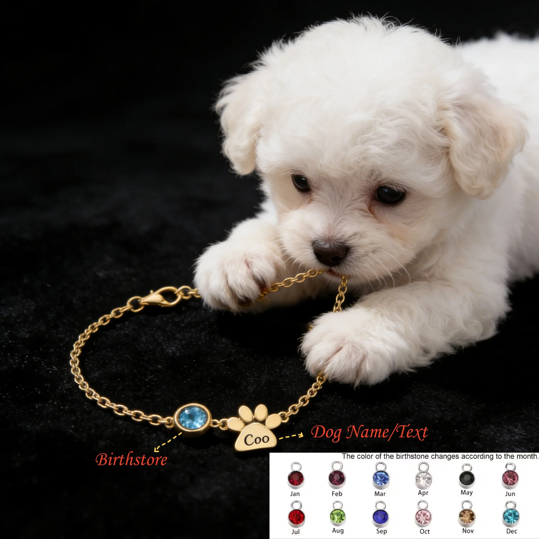Custom Engraved Pet Paw Print Bracelet Personalized Dog Cat Name Birthstone Bracelet Stainless Steel Jewelry Gift for Pet Lovers view 6