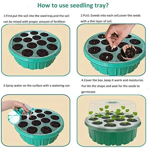 13-håls rund plantlåda Fröodlingsbricka plantlåda bricka Böngroddar Blomplantor Grönsaksfrön Hydroponisk bricka 10 best sales bonsai-frö - №6