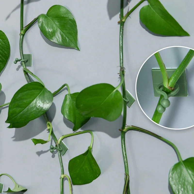 240Pcs Green Invisible Wall Vine Fixing Clip, Plant Climbing Fixing Device Self-Adhesive Fixing Hook Vine Fixing Device