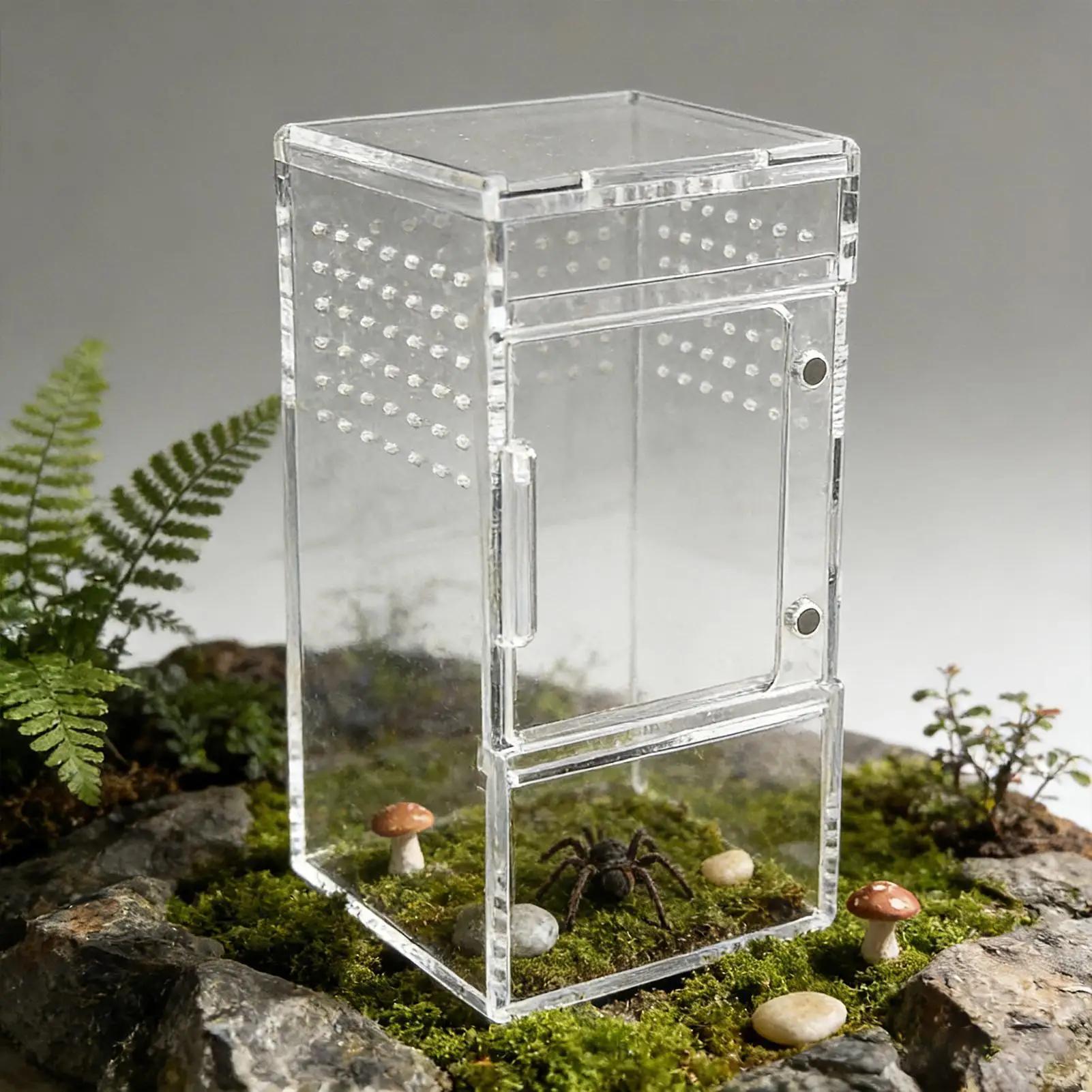 

Корпус для прыжков-пауков, прозрачная акриловая коробка для рептилий с вентиляционным отверстием и раздвижной крышкой, клетка для паука для черепахи, черепахи, змеи, геккона