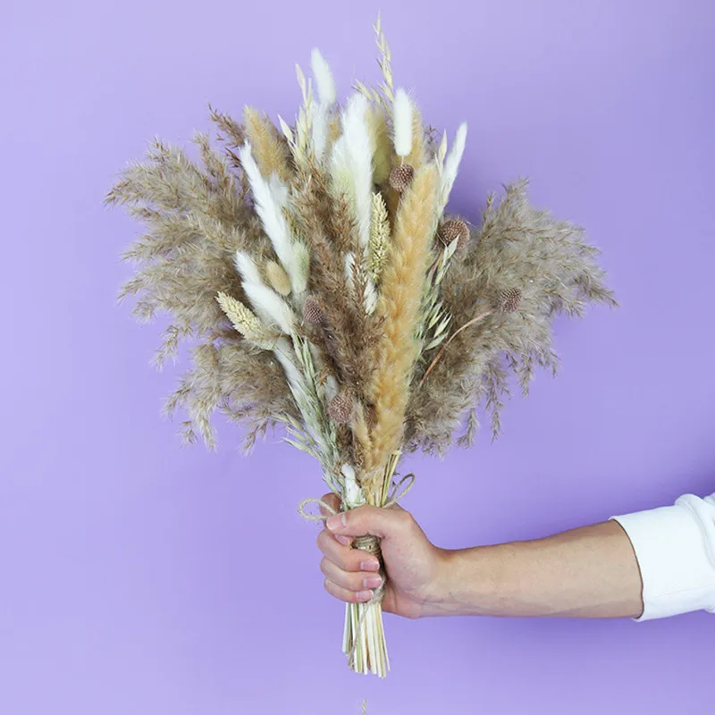 

Natural Phragmites Dekoration Pampas Grass Bouquet Boho Home Decor Dried Flowers For Wedding Table Background Decoration Chambre