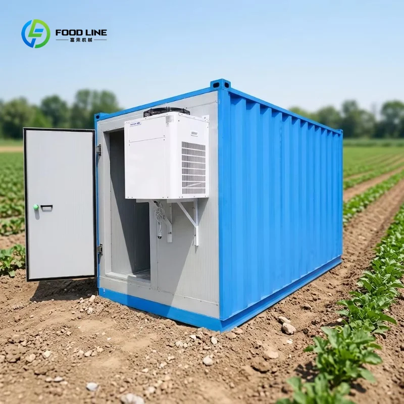 Solar Container Cold Room Mobile Freezer Fish Meat Vegetable Storage Sale Factory Direct Accept Custom