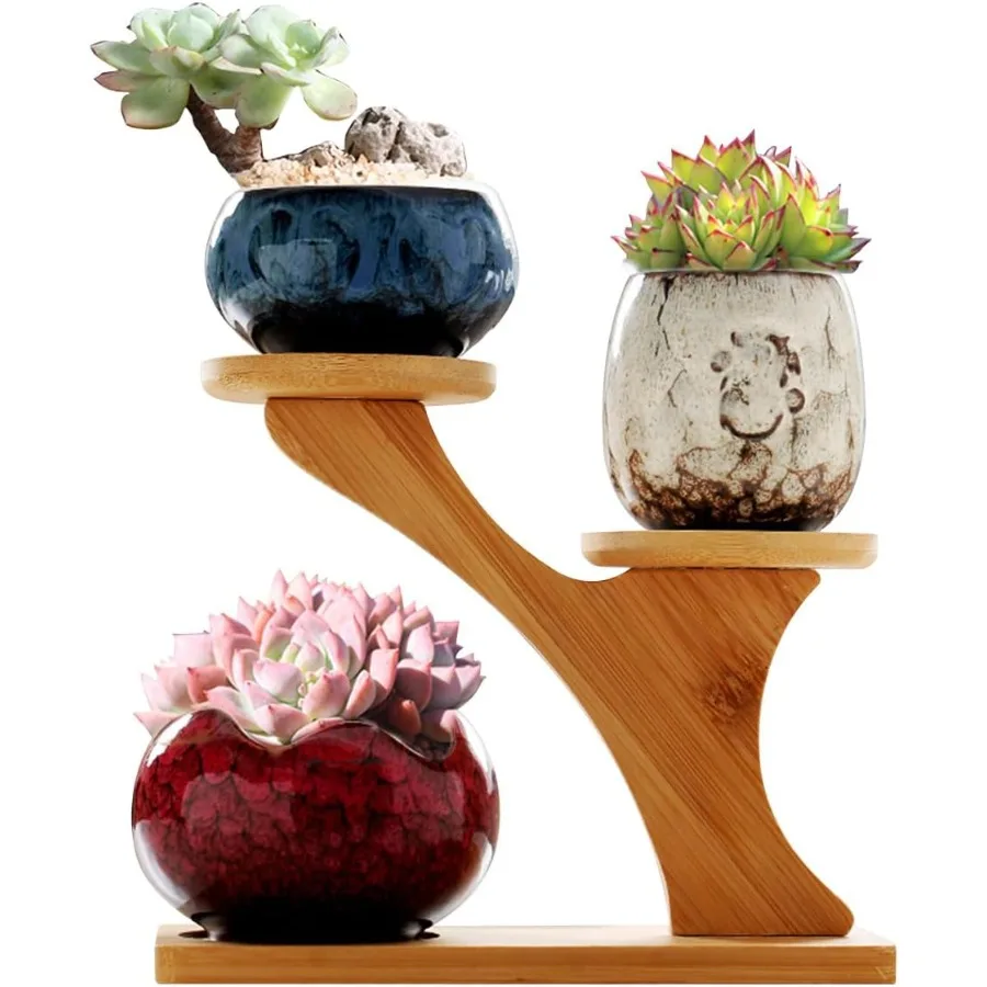 

Succulent Pots with Drainage Ceramic Plant Pot Indoor Small Flower Cactus Pots with Tree Tier Bamboo Stand Shallow Planter for