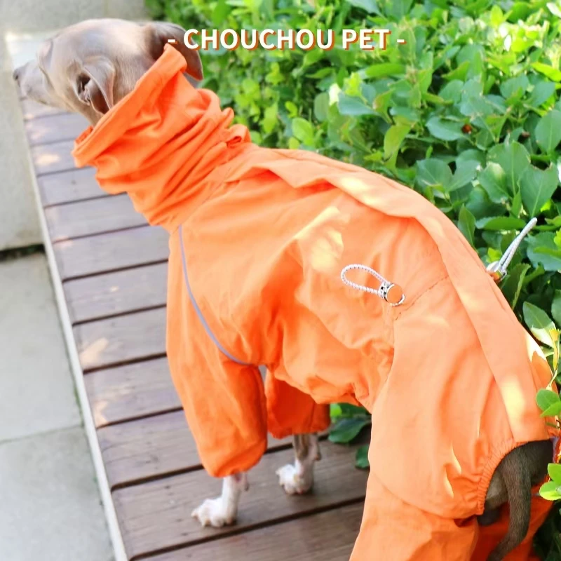 Chubasquero de galgo italiano, chaqueta para mascotas al aire libre de otoño e invierno, ropa para perros resistente al viento y a la lluvia