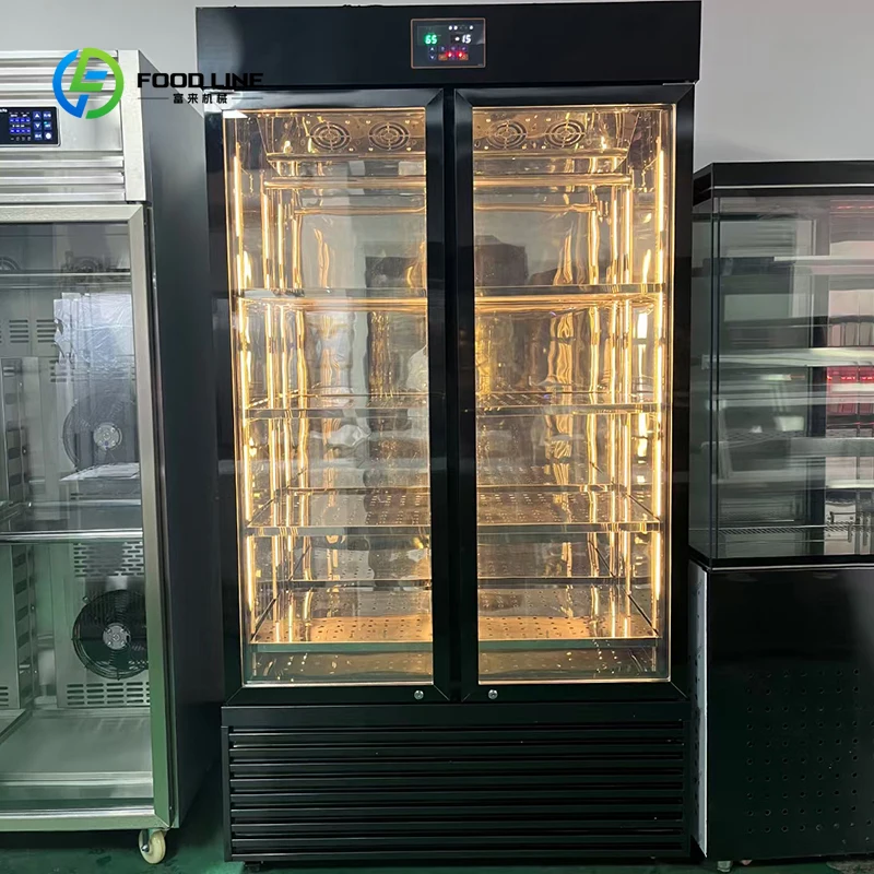 Customized Latest Design Frost Free Showcase - Adjustable Shelf Dry Age Thawing Refrigerator for Steak Beef Restaurant Kitchen