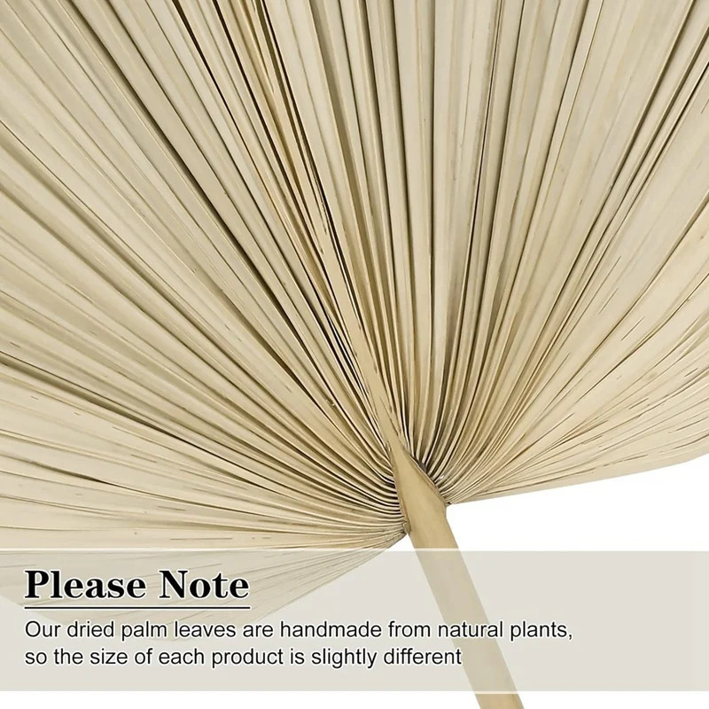 6PCS Dried Palm Leaves Natural Dried Palm Fans,Large Palm Spear For Boho Wedding Decor,Tropical Palm Leaves Decoration Durable S