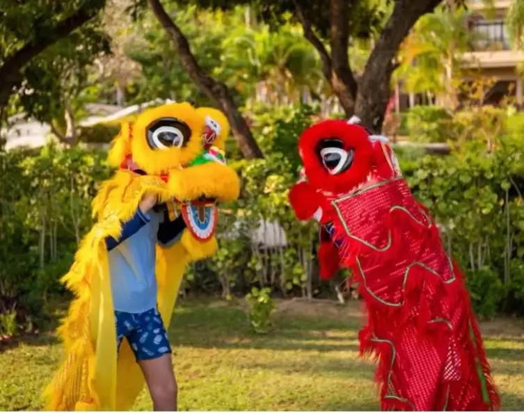 Royal  12 inch Lion Dance  Drum Pants  3-5 Age Cosplay Costume kid Children Stage Outdoor Party Activities  Festival Parade