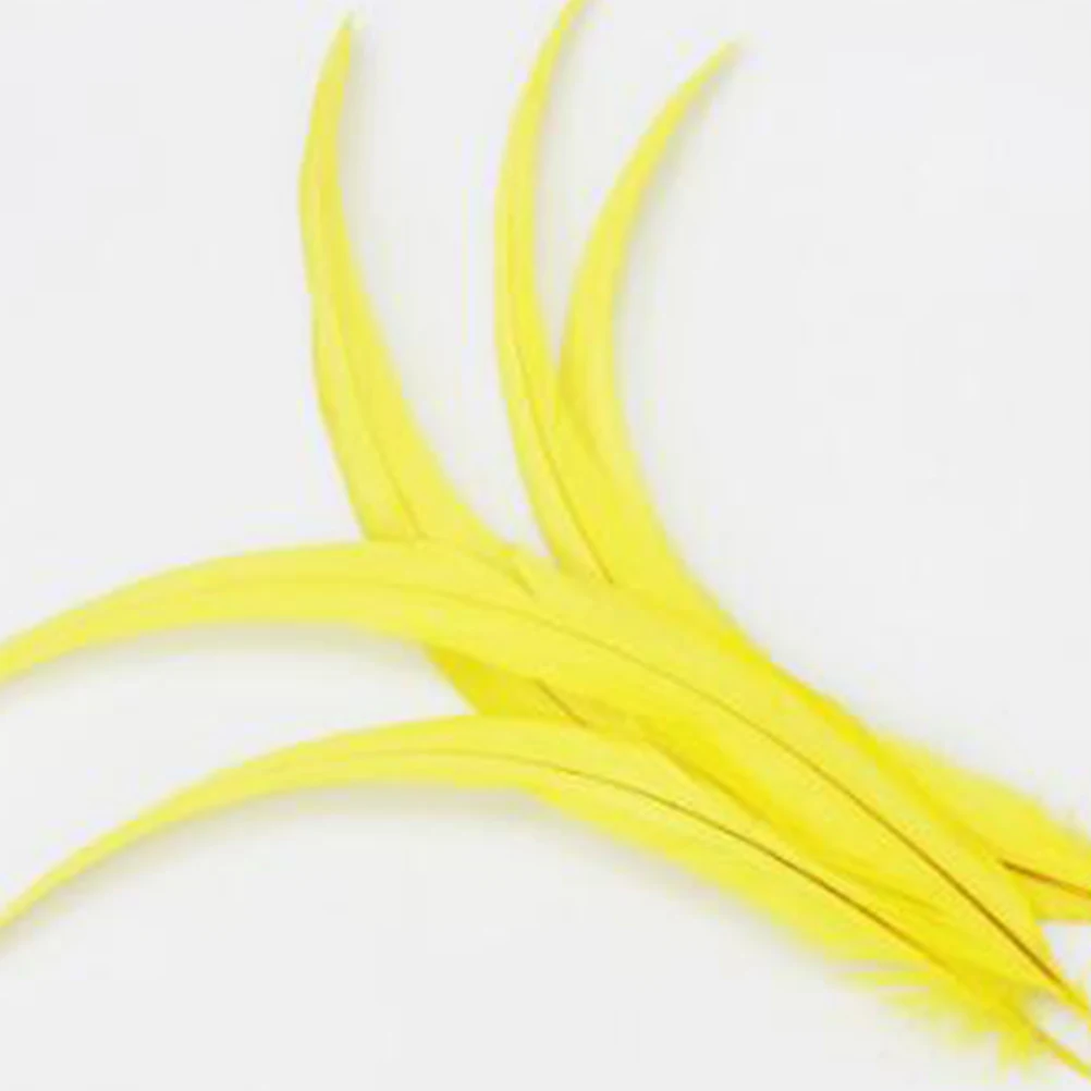 

50 Pcs Rooster Tail Craft Material Decoration for Hats Bags Clothes DIY Natural Lightweight Waterproof