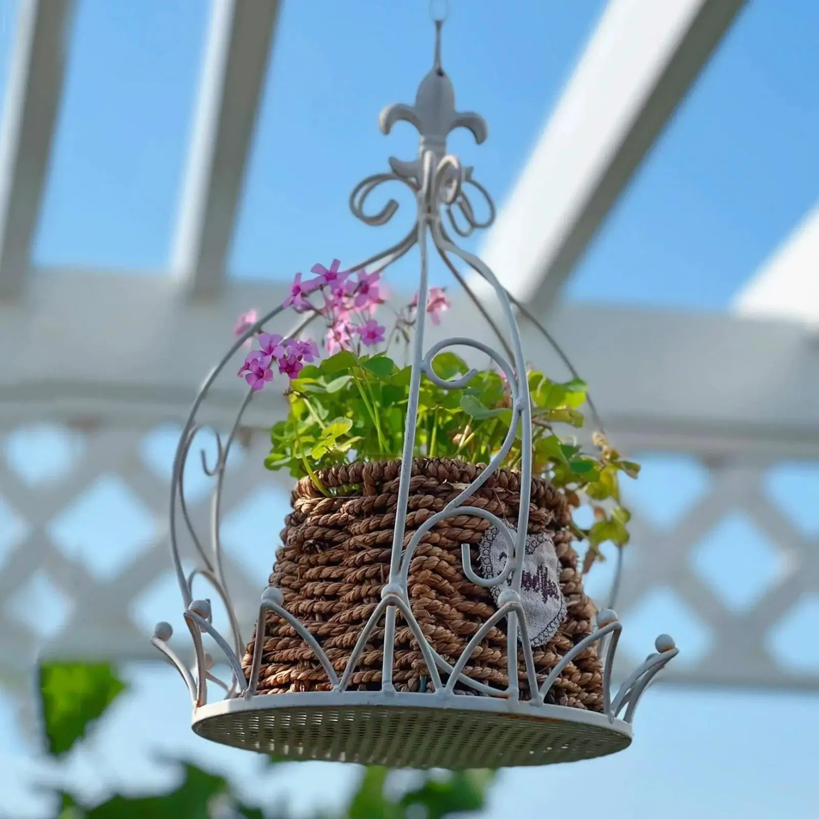 Hanging plant stand with chain Plant Hanger vintage wire planter basket 14-inch wrought iron hanging basket Flower Pot Holder