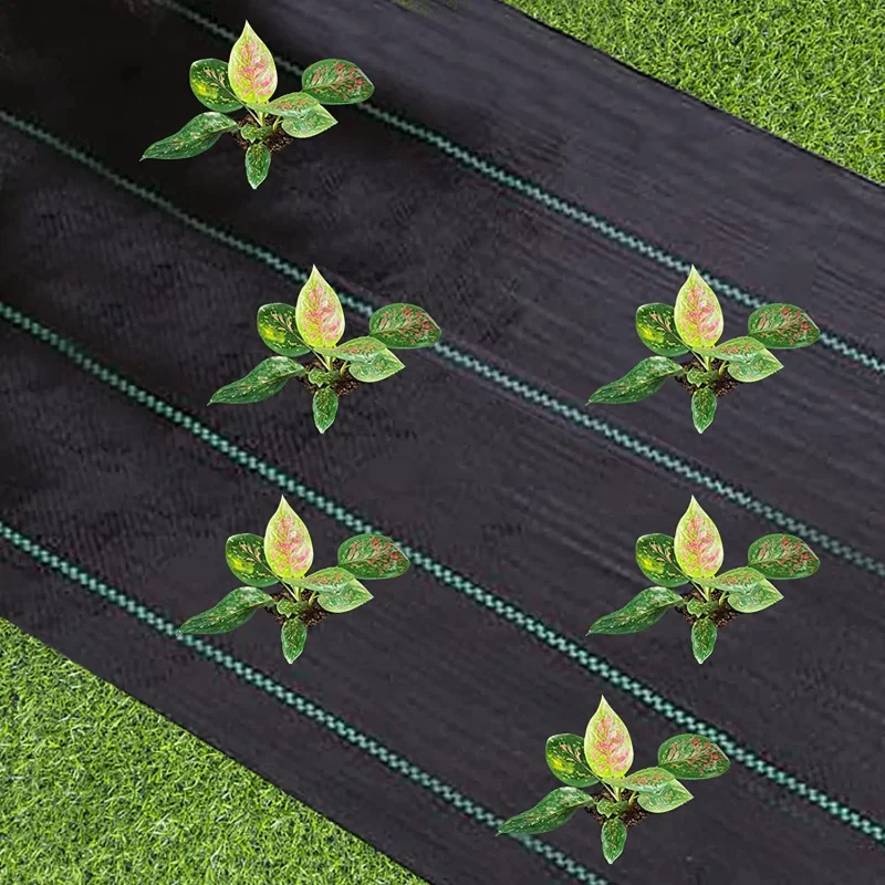Picture 3: Weed Barrier Fabric Heavy Duty, Woven Weed Control Fabric, Non-Slip Outdoor Rubber Floor Mats, Weed Block Polyethylene Ground Co
