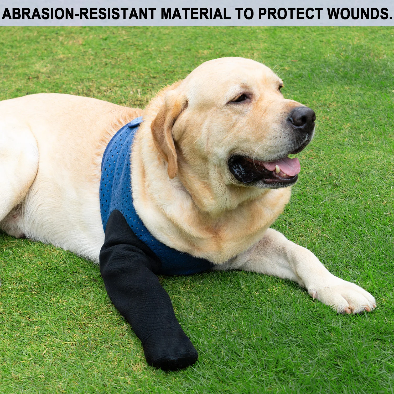 

COODEO Pet Dog Single Leg Sock Comfortable Breathable Waterproof Anti-Licking Paw Protector Fashion Pet Leg Sleeve