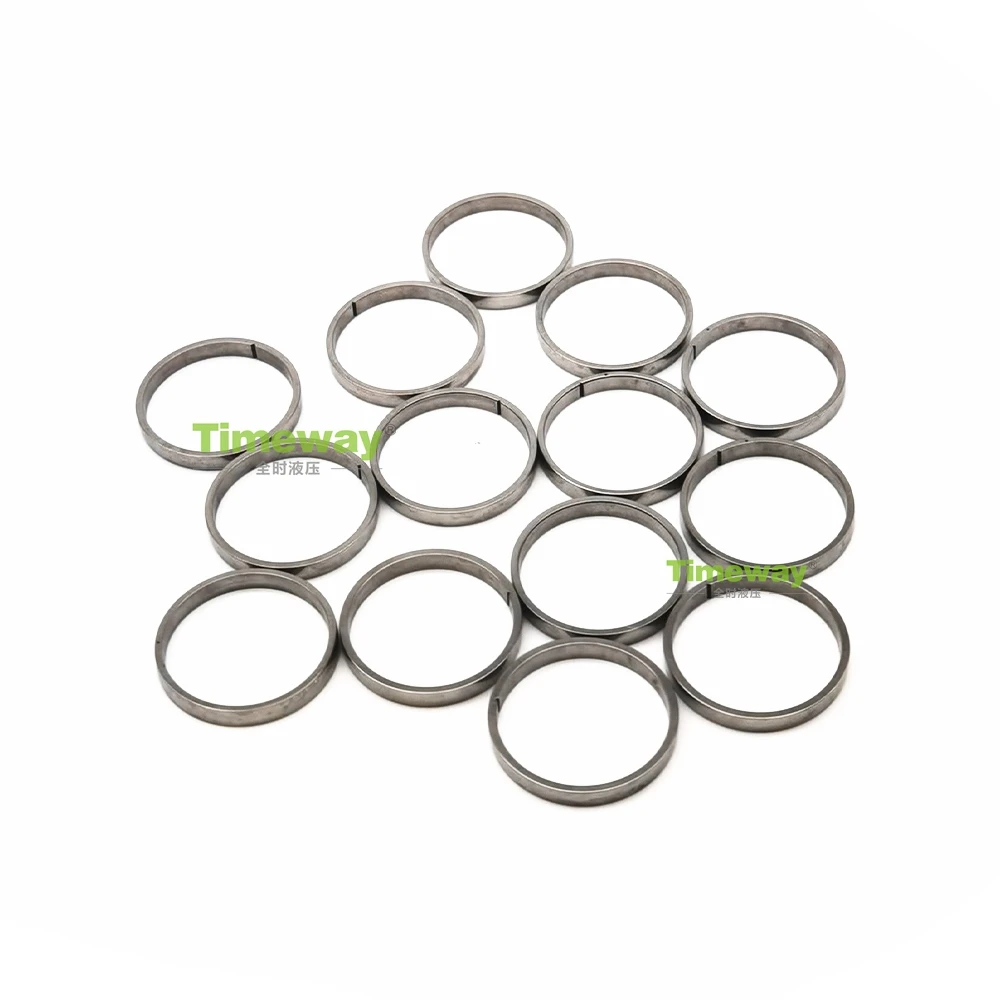 Piston Ring A8VO107 A6VE107 A6VM107 A6VM160 for Repair Rexroth Piston Pump
