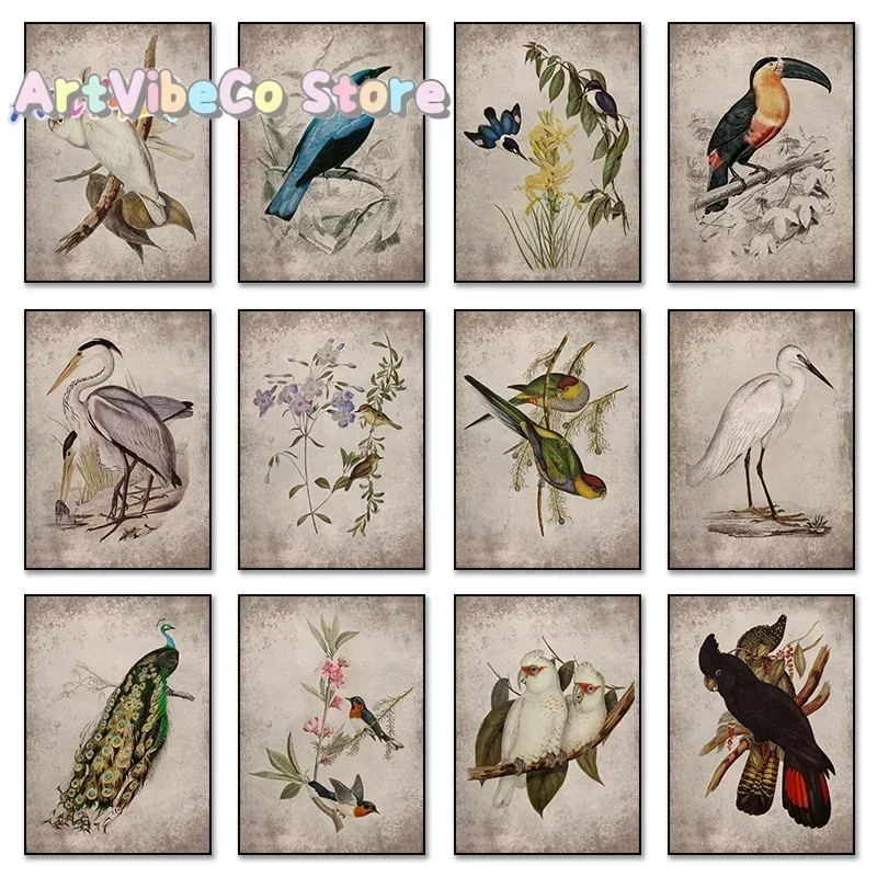 Vintage Toucan Peacock Bicheno Parakeet Canvas Painting Bird Bees and Rose Flower Posters Prints Wall Art Picture Home Decor