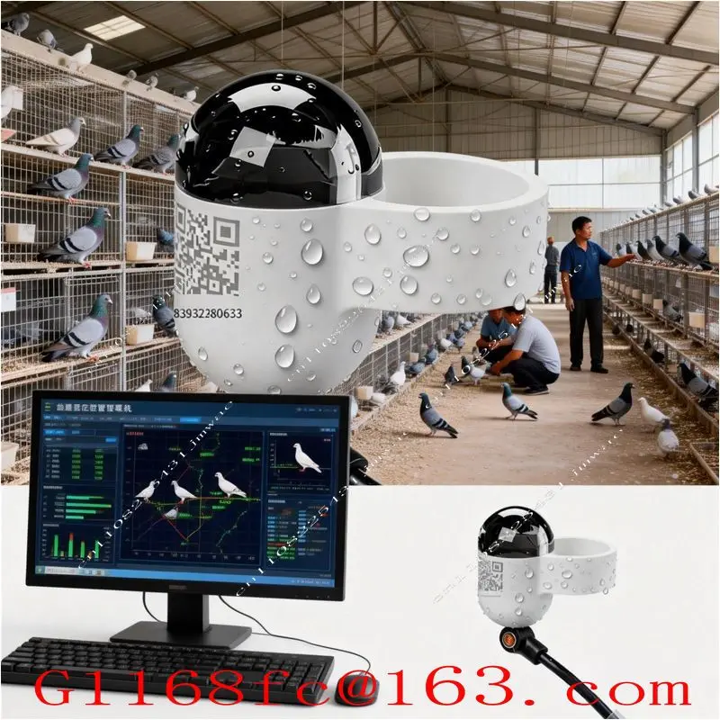 Mini Real-Time GPS  Locator Waterproof Pigeon Ring 4G Network GSM Android IOS Trajectory Locator Made Durable Plastic LBS