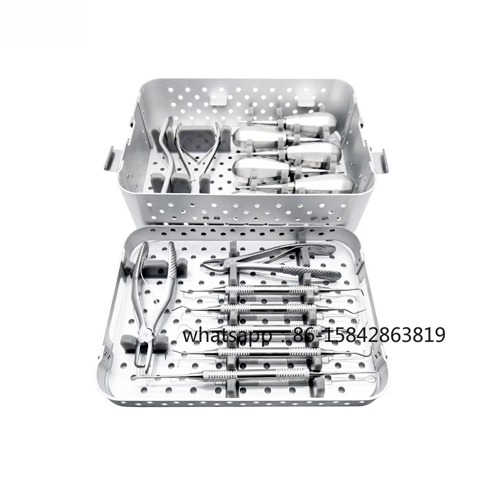 Veterinary Canine, Feline Dental Instruments Kit, Mascotas Tooth Lifter, Vet Hand Tools, Dental Equipments for Small Animals