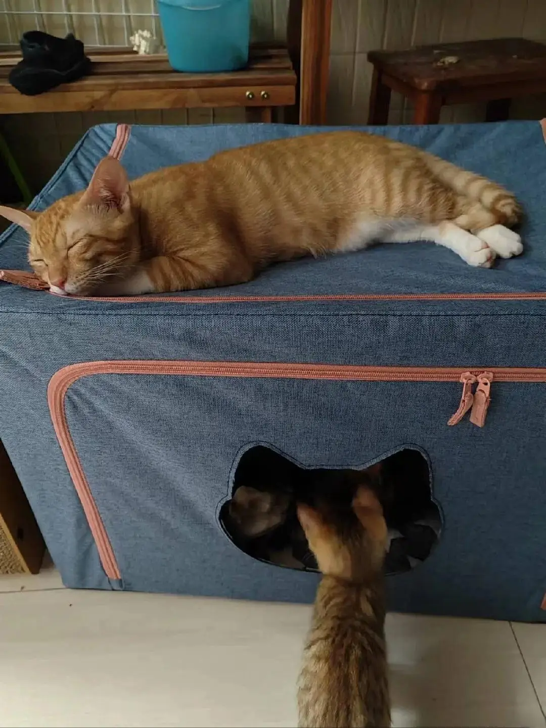 

Теплый складной домашний тканевый ящик для хранения Se Room, многофункциональный ящик для хранения на все сезоны, приподнятое гнездо