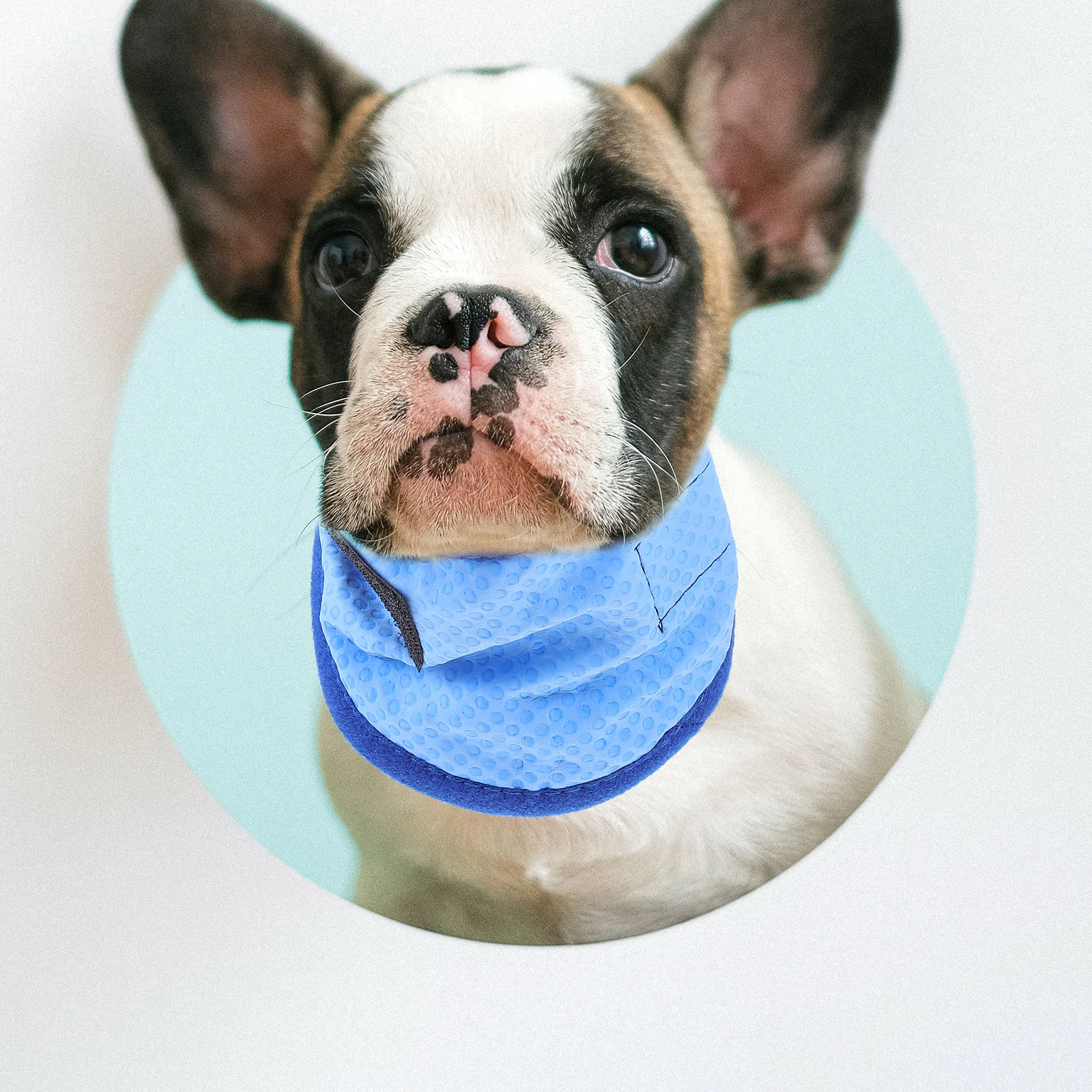

Collar For Dogs Summer Safe Chemical-Free Ice Collar Bandana Fashionable Pet Scarf Comfortable Dog Accessory