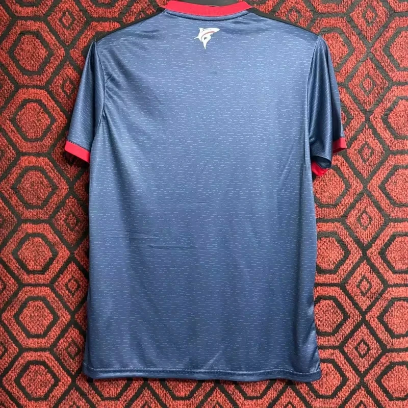 Undercover Jerseys 23_24 Season Cape Verde Jerseys Home قمصان كرة القدم بأكمام قصيرة لكرة القدم #2